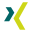 XING - Mario Poinart